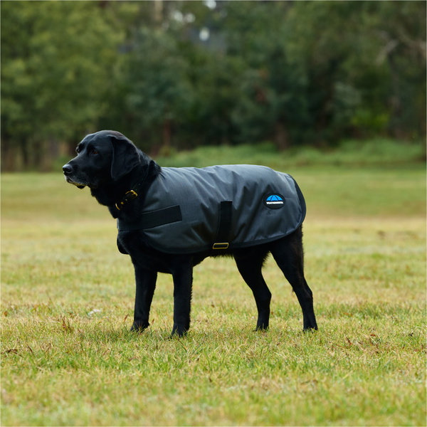 2025 Weatherbeeta Comfitec Classic Waterproof Dog Coat 1029048 - Charcoal